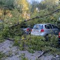 Drvo palo na Medaku: Oštećena tri automobila FOTO