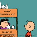 Kada psihijatar čita Snupija: Nežna knjiga o velikim životnim pitanjima