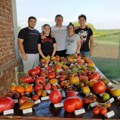 Ovakvog rekordera svet nema! Antići iz Ćuprije uzgajaju čak 360 sorti paradajza, a onaj "najslađi" sami su stvorili (foto)