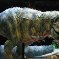 Redak fosil adolescentnog Tiranosaurusa reksa pronađen u pustinji