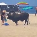 Turistkinja čačkala bika na plaži Završila s teškim povredama, drama u Meksiku! (video)