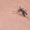 Preminula i deseta osoba od posledica zaraze opasnim virusom: Panika u Italiji