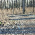 Ponovo počinje suđenje za ubistvo zbog tartufa: Dejan ubio braću u šumi kod Jarka, Apelacioni sud ukinuo prvostepenu presudu…