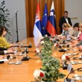 Vučić sa predsednikom Državnog zbora Slovenije Stevanovićem