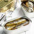 Sardine su odjednom postale jedna od najpoželjnijih namirnica: Potražnja raste baš kada zalihe počinju da padaju