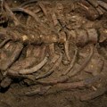 Misterija skeleta koji je nađen u velikoj Britaniji DNK analiza otkrila pravo poreklo kostiju koje su stare 2.000 godina…