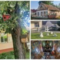 Biciklom kroz vojvodinu: Ljukovo Kućice za tužne ptice čekaju stanare u parku ispred škole