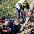 U gradu nema restrikcije vode, pojedina sela ugrožena: Niš na tropskim vrućinama