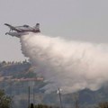 Drama na severu Grčke: Nakon udara groma izbio požar, stradalo devet krava