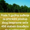 Pokret OŠFG: Doneta osuđujuća presuda zbog bespravne seče šume kod Sremskih Karlovaca