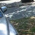(Video): Vozač je u Beogradu bahato parkirao, usledila je brutalna osveta pešaka