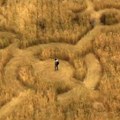 „Dan razotkrivanja“ u bioskopima – Spilberg opet na vanzemaljskom terenu