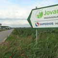 Isplivale poruke: Policija i Vojska štitile Koluviju i zasade droge