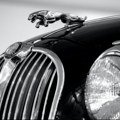 Jaguar cilja na američke milijunaše