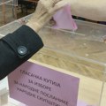 Izbori u Srbiji 2023: Ko su posmatrači glasanja