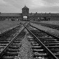 Simbol Međunarodnog dana sećanja na žrtve Holokausta u Aušvicu je čovek i portreti logoraša