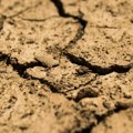 FAO upozorava na alarmantno stanje: Zbog degradacije zemljišta 1,7 milijardi ljudi ugroženo