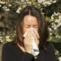 10 суплемената који природно ублажавају симптоме алергије