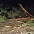 Havarija kod Čačka nakon udara groma! Ruteri i aparati pregoreli, oluja čupala drveće i paralisala prigradsko naselje (foto)…