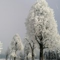 Snežno nevreme u Sloveniji, ispod Triglava skoro dva metra snega /foto/