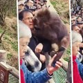 Turistkinja gurnula majmuna, on pobesneo pa pa ugrizao čoveka za lice: Pogledajte jeziv video