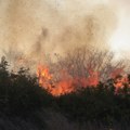 Uhapšen 72-godišnjak zbog namernog izazivanja požara kod Zadra