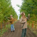 Organska PROIZVODNjA u Srbiji: Perspektiva za održiv razvoj ruralnih zajednica