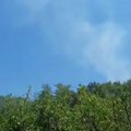 (Video) Požar "guta" šumu kod Aleksinca: Vatrogasci ulažu napore da ga obuzdaju: Gašenje vatre i dalje traje