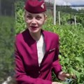 Stjuardesa letenje zamenila top biznisom, uložila svu ušteđevinu! Ivana ima plantažu u selu kod Batočine: Za kilogram uzme…