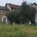 Dobar dan iz Kragujevca!