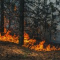 Požari izmiču kontroli u BiH: Vatra stigla do naselja, traže kanadere i helikoptere