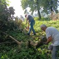 Aktivisti SNS-a čistili Pivarski park