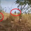 Jezivi snimci iživljavanja: Ukrajinska vojska poslala ruske zarobljenike u minsko polje (video)