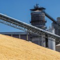 Републички завод за статистику: До 5. септембра произведено близу 3,5 милиона тона пшенице
