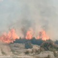 Požar u Novom Sadu: Gori nisko rastinje na Futoškom putu (video)
