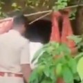 Policajci šokirani izjavom Nine koja je sa decom živela u pećini: Natpisi na zidovima izazivaju jezu (Video)