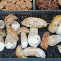 Večita dilema ljubitelja pečurki: Treba li ih prati pre kuvanja ili ipak ne?