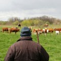 Galetin: Nestabilno tržište mesa najviše pogađa male proizvođače