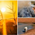 STIŽE NAM KLIMATSKI MONSTRUM Godzila donosi ekstremno visoke temperature! Pred nama je najtoplija godina u istoriji i…