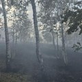 Marinković: Požar u Deliblatskoj peščari i dalje aktivan, situacija značajno mirnija