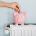 Koliko će koštati grejanje ove zime: Za stan od 60 kvadrata potrebno više od 250.000 dinara