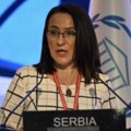 Paunović: Priština podnela amandmane u PS PSuJIE u cilju provokacije Beograda