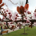 Sutra promenljivo oblačno i toplo, temperatura do 23 stepena