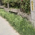 Zašto se ne kosi redovno u Kragujevcu?