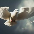 Данас се обележава Међународни дан мира Међународни дан мира