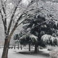 Putevi Srbije upozoravaju na sneg koji će padati večeras i jaku košavu u ostatku nedelje
