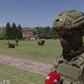 Samo najbolji do elitne jedinice Vojske Srbije, počela selektivna obuka za 72. brigadu u Valjevu