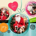Fotografisanje sa Deda Mrazom = pomoć napuštenim životinjama