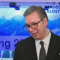 Vučić o sednici Evropskog parlamenta o izborima u Srbiji: Znam koliko je nešto čisto dobijeno, hvala na društvu za Srbiju