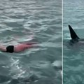 „Eklatantan primer gluposti“: Snimljen kako pokušava da skoči na orku (VIDEO)